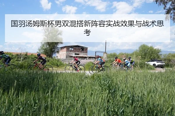 国羽汤姆斯杯男双混搭新阵容实战效果与战术思考